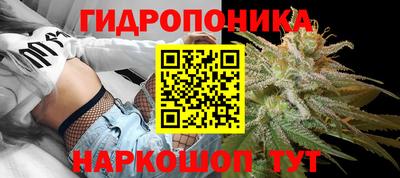 сатива Нальчик