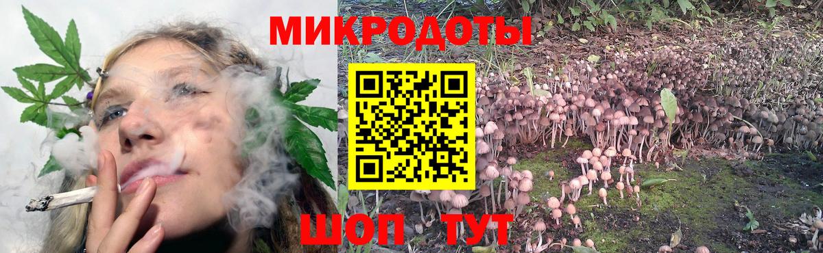 Салехард  закладка  Вход с VPN  Галлюциногенные грибы ЛСД 